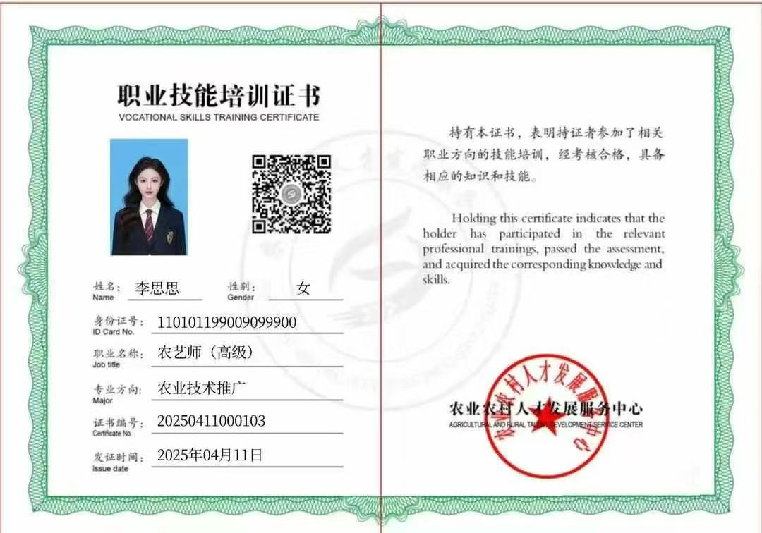 职业技能培训证书