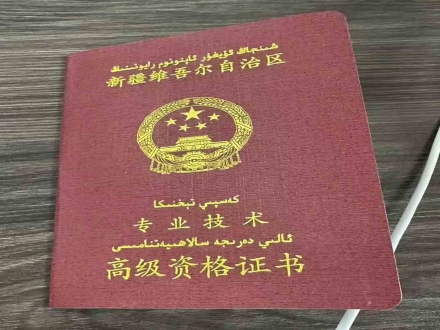 新疆高级专业技术资格证书